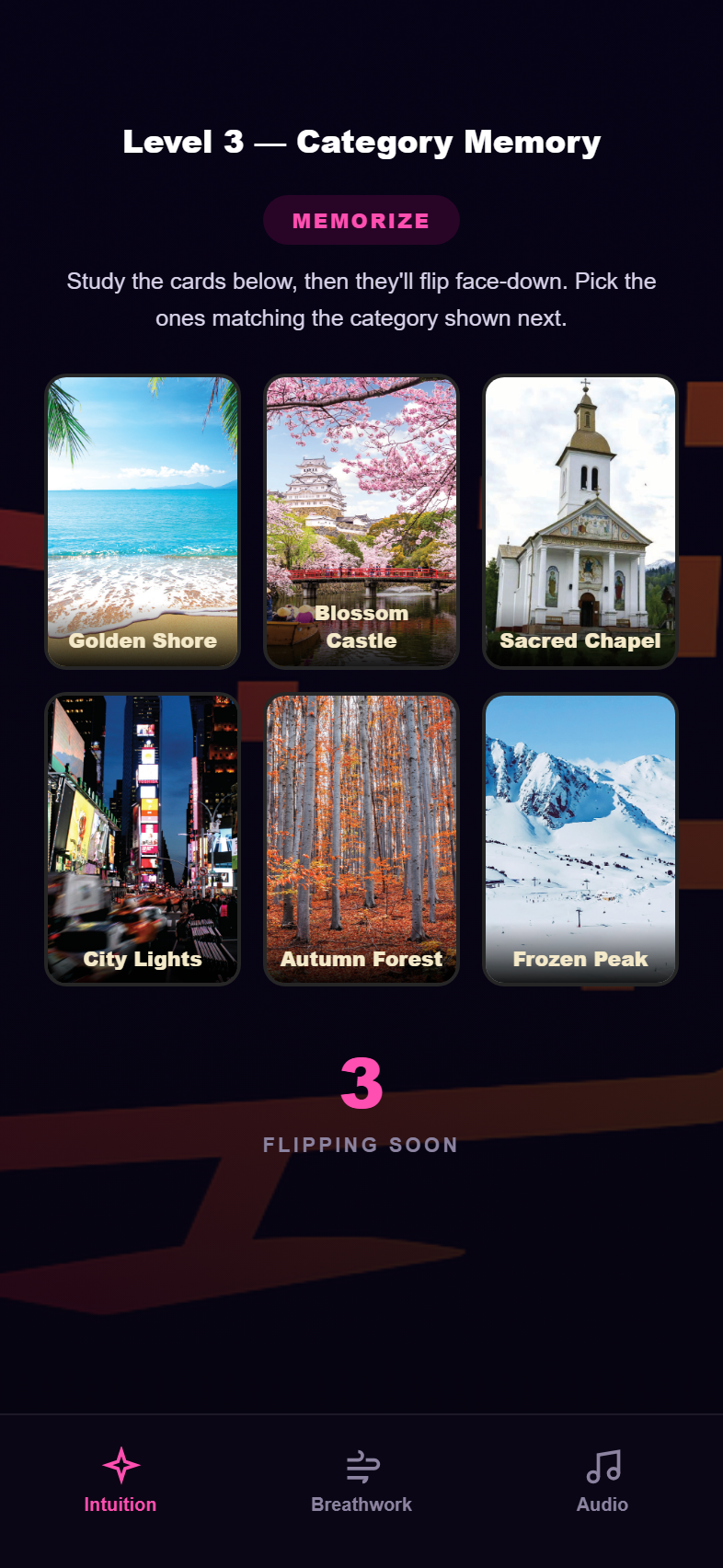 Level 3 — Category Memory